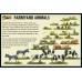Farmyard Animals